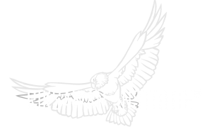 LOGO PUTIH